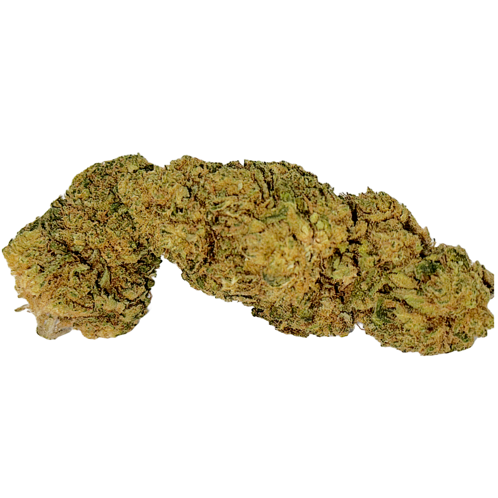 Girl Scout Cookies THCa Flower (HybridIndica) THC Wellness