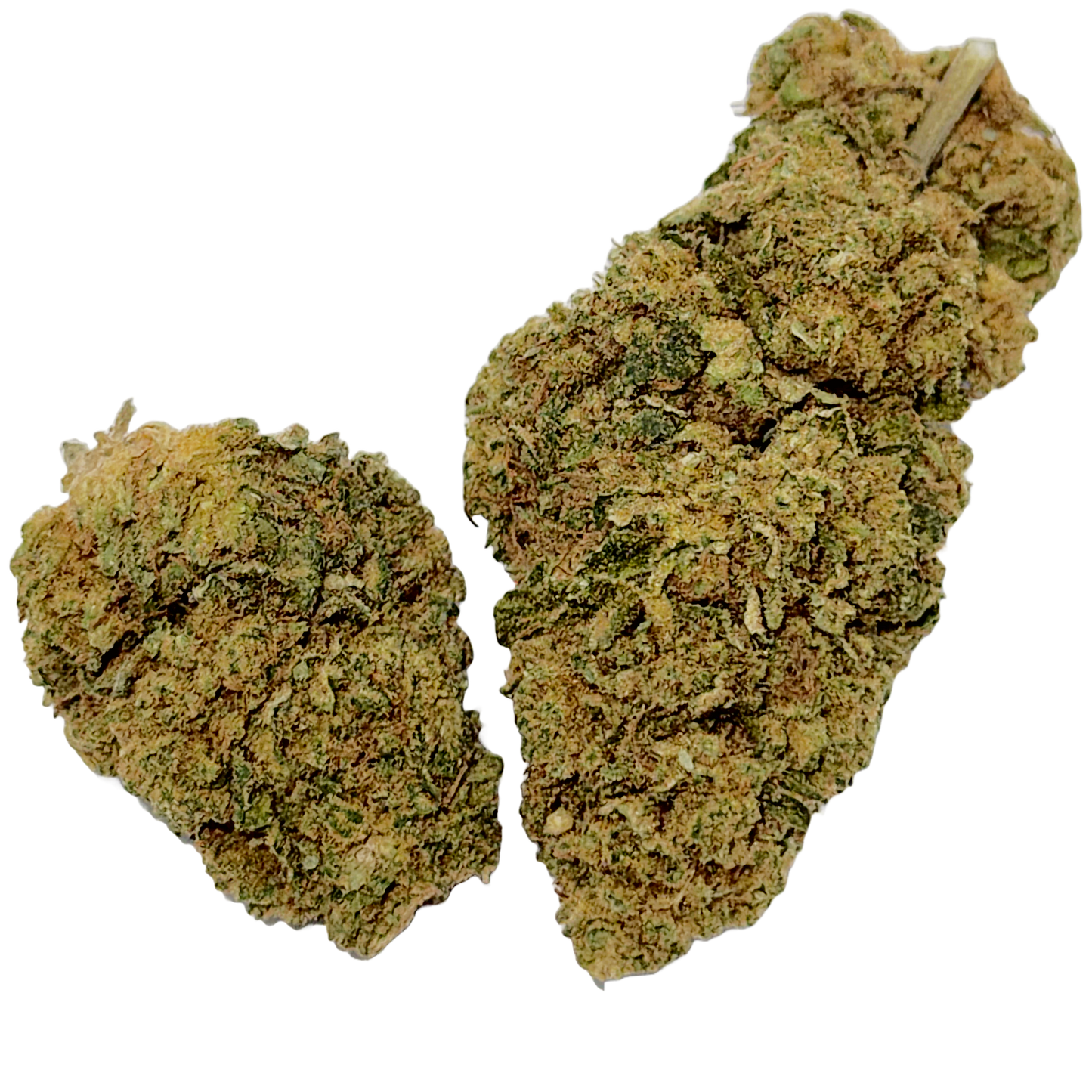 Girl Scout Cookies THCa Flower (Hybrid-Indica)