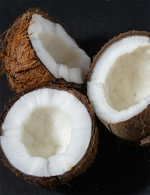 thc wellness coconuts web use